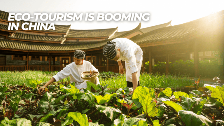 Eco-tourism is booming in China