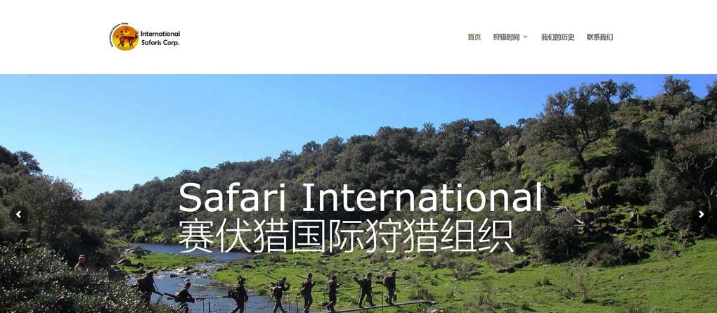 Baidu SEO: Safari website by GMA